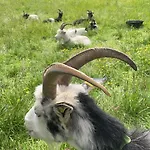 Ved Sjoen Med Batutleige Kvalsvik